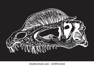 Graphical skull of dilophosaurus isolated on black background,vector fossil element of museum