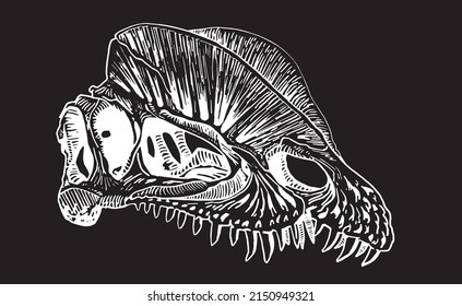 Graphical skull of dilophosaurus isolated on black background,vector fossil element of museum