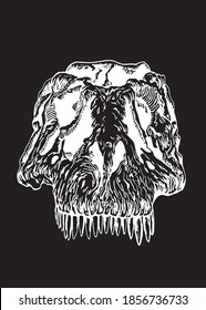 Graphical skull of dinosaur with long sharp teeth isolated on black background, vector illustration, tyrannosauaus