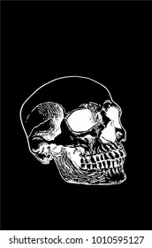 Graphical skull on black background,vector sketch for tattoo and printing