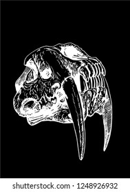Graphical skull saber  toothed tiger isolated black background  vector sketch