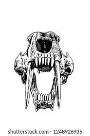 Graphical skull saber  toothed tiger isolated white background  vector sketch