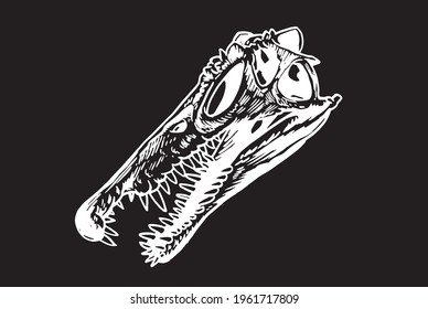 Graphical skull of sinosaurus isolated on black, paleontology 