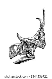 Graphical skull of styracosaurus isolated on white,vector sketch for tattoo and printing,paleontology