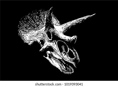 Graphical skull of triceratops dinosaur isolated on black background,vector 
