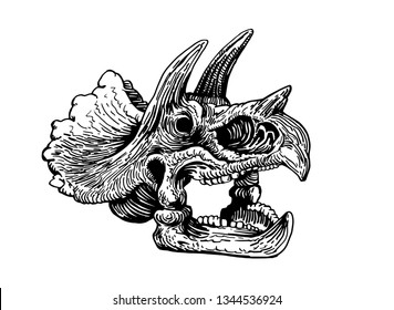 Graphical skull of triceratops isolated on white,vector sketch for tattoo and printing,paleontology