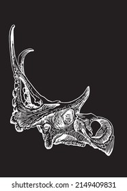 Graphical skull of triceratops isolated on black background,vector fossil element of museum