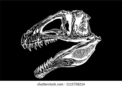 Graphical skull of tyrannosaurus isolated on black,vector sketch for tattoo and printing,paleontology