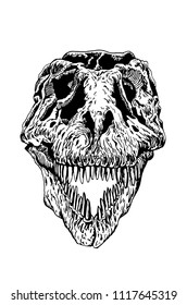 Graphical skull of tyrannosaurus isolated on white  background, vector illustration