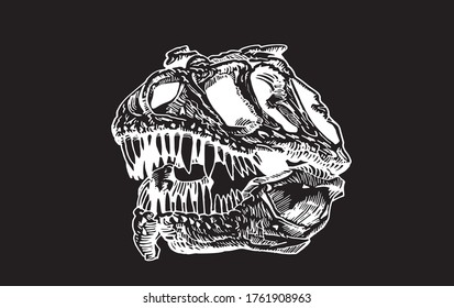 Graphical skull of tyrannosaurus isolated on black, vector engraved illustration for tattoo ,typography and design