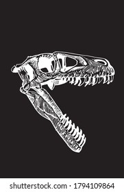 Graphical skull of tyrannosaurus isolated on black, vector engraved  illustration, paleonthology