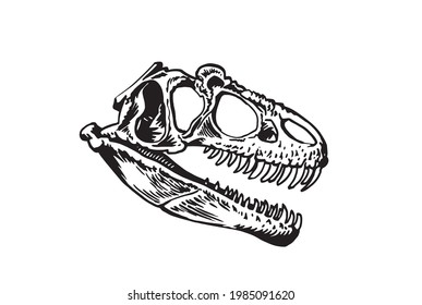 Graphical skull of tyrannosaurus isolated on white background, vector element