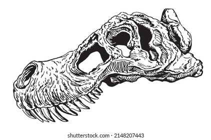 Graphical skull of tyrannosaurus isolated on white background,vector fossil element of museum