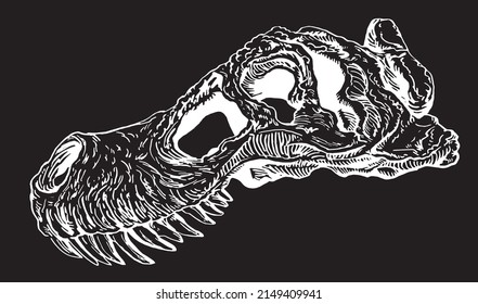Graphical skull of tyrannosaurus isolated on black background,vector fossil element of museum