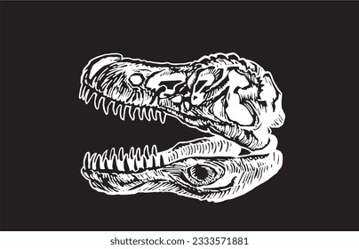Graphical skull of tyrannosaurus isolated on black,vector engraved illustration, fossils