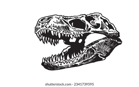 Graphical skull of tyrannosaurus isolated on white,vector illustration, fossils