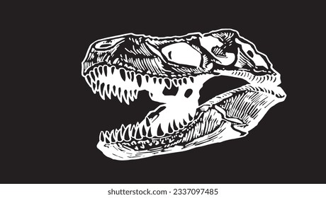 Graphical skull of tyrannosaurus on black,vector engraved illustration, fossils