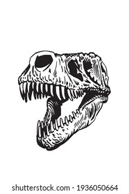 Graphical skull of tyrannosaurus on white background,vector element,anthropology fossil