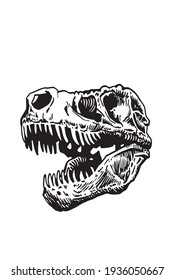 Graphical skull of tyrannosaurus on white background,vector element,anthropology fossil