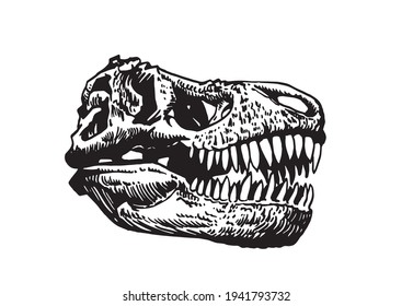 Graphical skull of tyrannosaurus on white background,vector element,antropology fossil	

