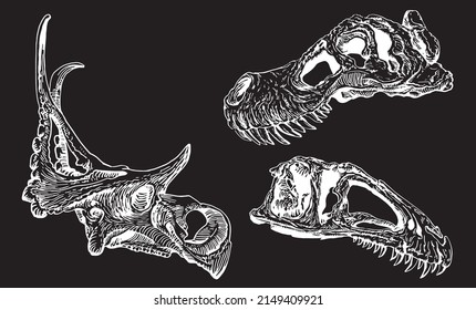 Graphical skull of tyrannosaurus and triceratops isolated on black,vector elements