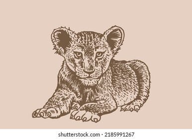 Grafischer kleiner Löwe auf sepigem Hintergrund, Vektorgrafik, afrikanisches Tier