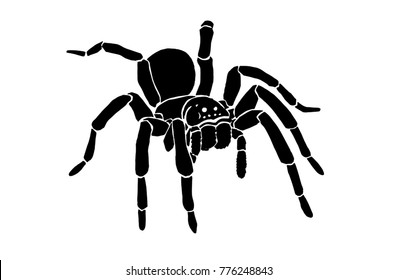 graphical spider isolated on white background, vector illustration