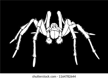 Graphical spider, sketch of tarantula isolated on black background,vector