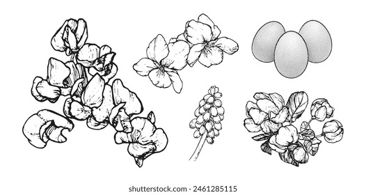Graphical spring set isolated on white background, vector illustration