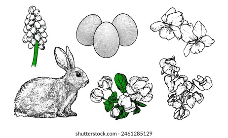 Graphical spring set isolated on white background, vector illustration