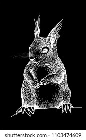 Graphical squirrel isolated on black ,vector hand-painted illustration