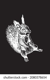 Graphical squirrel isolated on black background, vector ink pen engraved illustration