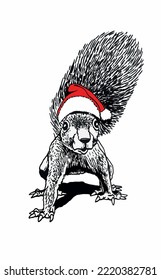Graphical squirrel in red Santa Claus hat isolated on white background,vector illustration