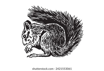 Graphical squirrel sitting on white background,vector illustration