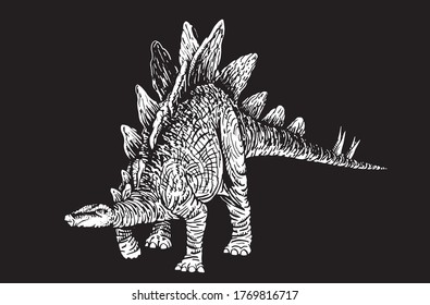 Graphical stegosaurus isolated on black background,vector engraved illustration