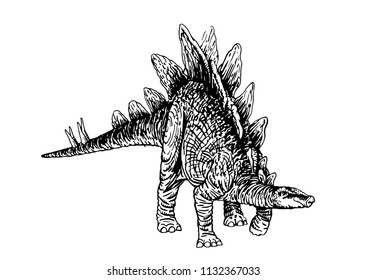 Graphical stegosaurus isolated on white,vector illustration for tattoo and printing