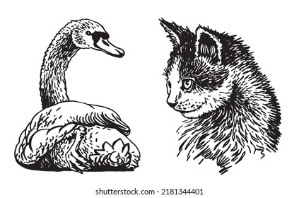 Graphical swan and portrait of cat isolated on white, animals set