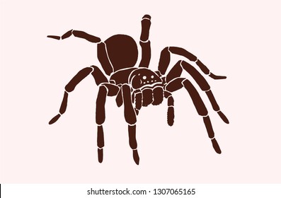 Graphical tarantula spider, vector vintage illustration