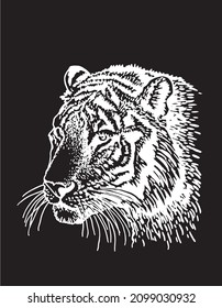 Graphical tiger isolated on black background,vector illustration, stripy wild savanna animal 