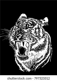 Graphical tiger on black background,vector