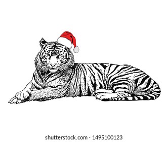 Graphical tiger  in Santa Claus hat isolated on white background,vector new year illustration