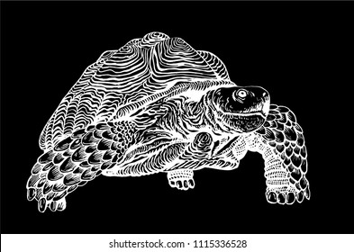 Graphical tortoise isolated on black background,vector tattoo illustration