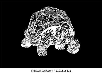 Graphical tortoise isolated on black background,vector illustration, tattoo animal