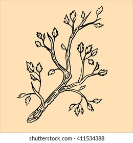 Graphical tree branch image