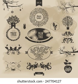 Graphical trees. Ssymbol of nature.