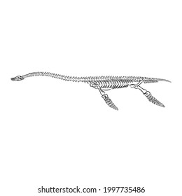 Graphical triceratops isolated on white background,vector illustration for printing