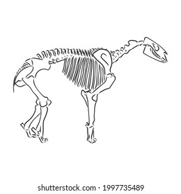 Graphical triceratops isolated on white background,vector illustration for printing