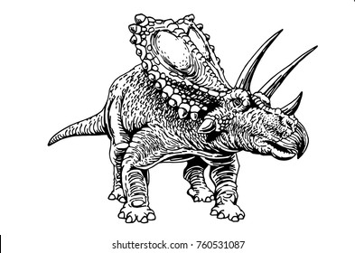 Graphical triceratops isolated on white  background,vector illustration for printing