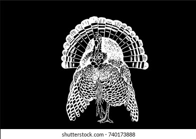 Graphical turkey isolated on black background,vector illustration