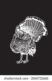 Graphical turkey on black, farmbird , element for thanksgiving